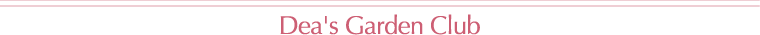 �f�B�[�Y�K�[�f���N���u