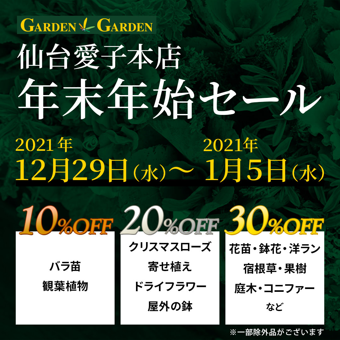 愛子本店】年末年始セールのご案内 | ガーデンガーデン